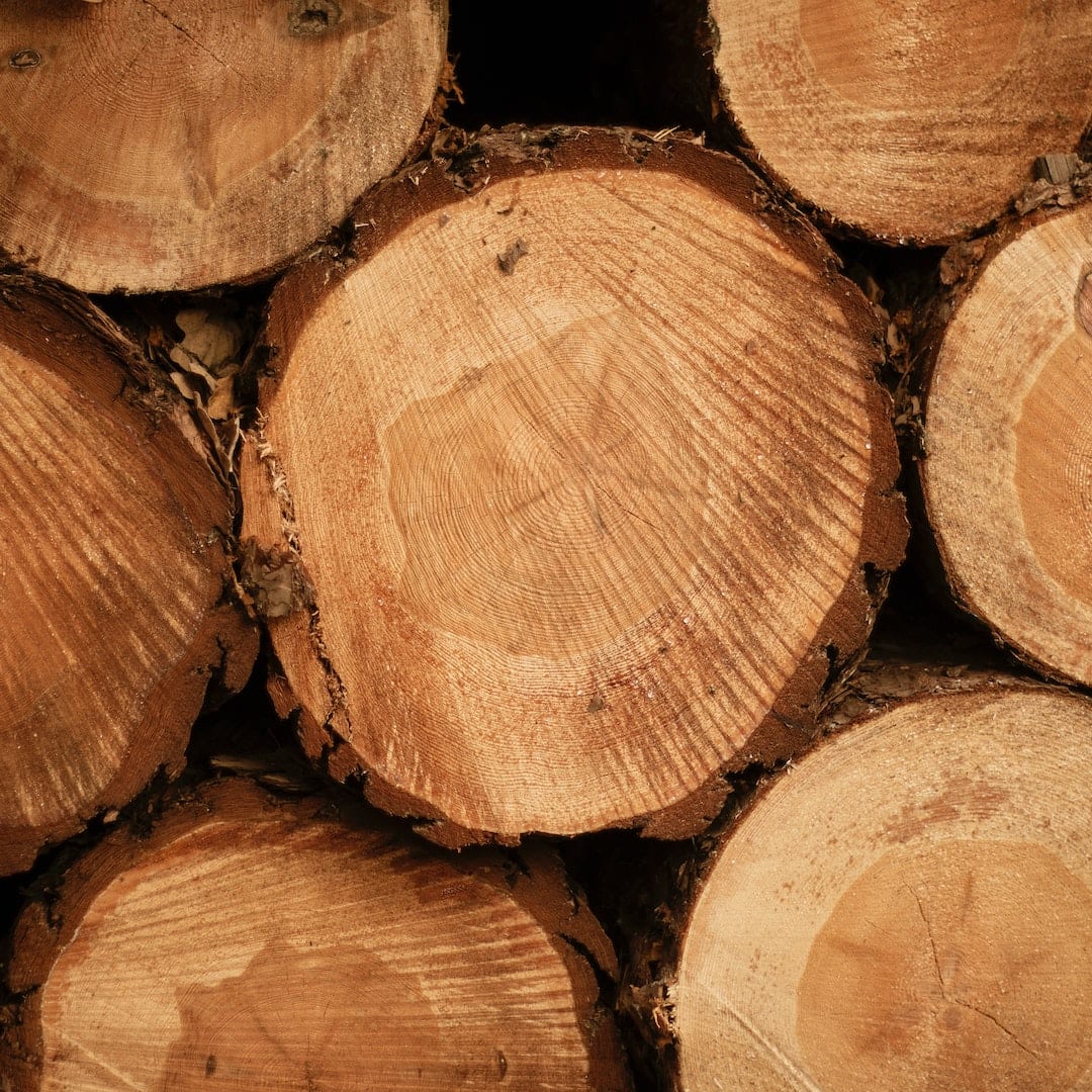 Premium High-Quality Tanalised Log Store