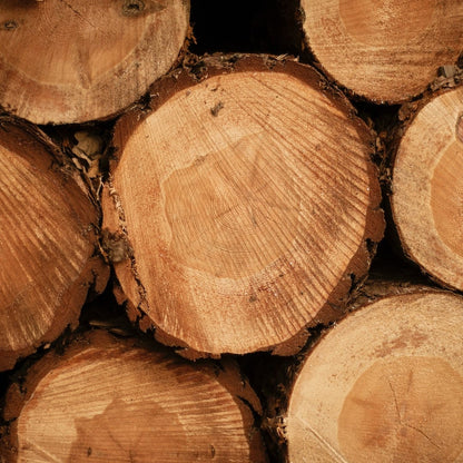 Premium High-Quality Tanalised  Log Store